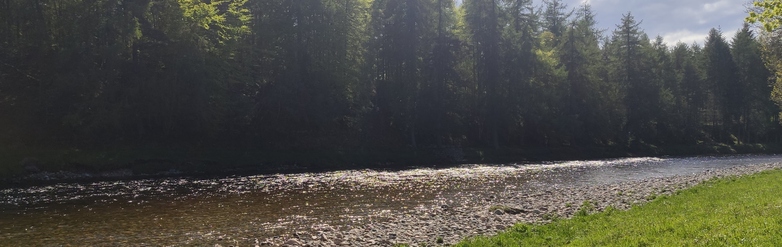 Milltimber, looking at AWPR