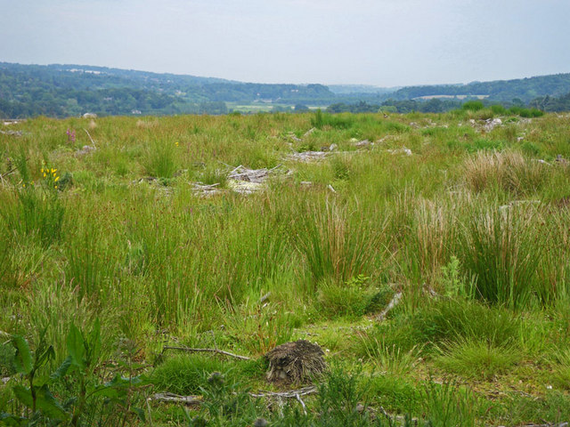 A photo of the site of the former Roman marching camp, Normandykes.